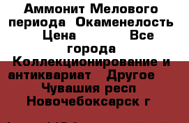 Аммонит Мелового периода. Окаменелость. › Цена ­ 2 800 - Все города Коллекционирование и антиквариат » Другое   . Чувашия респ.,Новочебоксарск г.